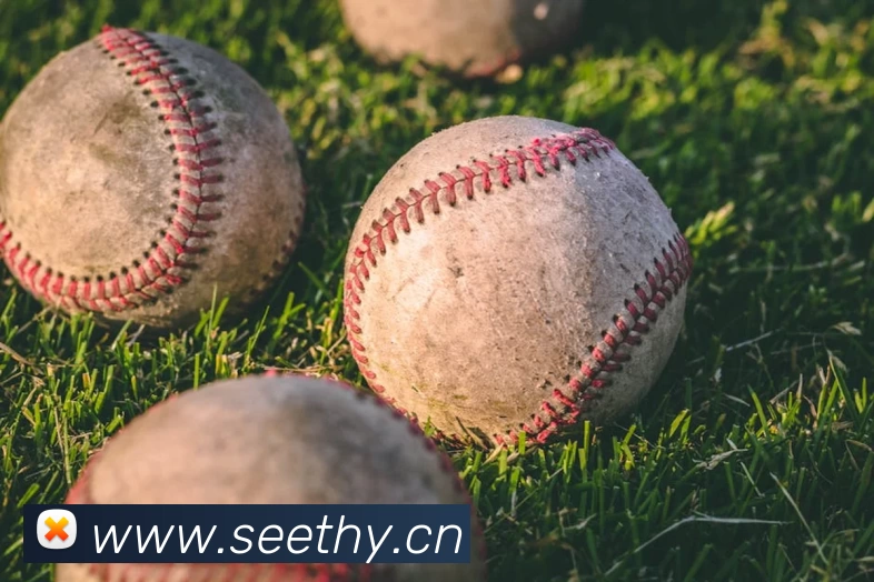 米兰官方版网站登录入口 - 米兰(中国)平台生态图